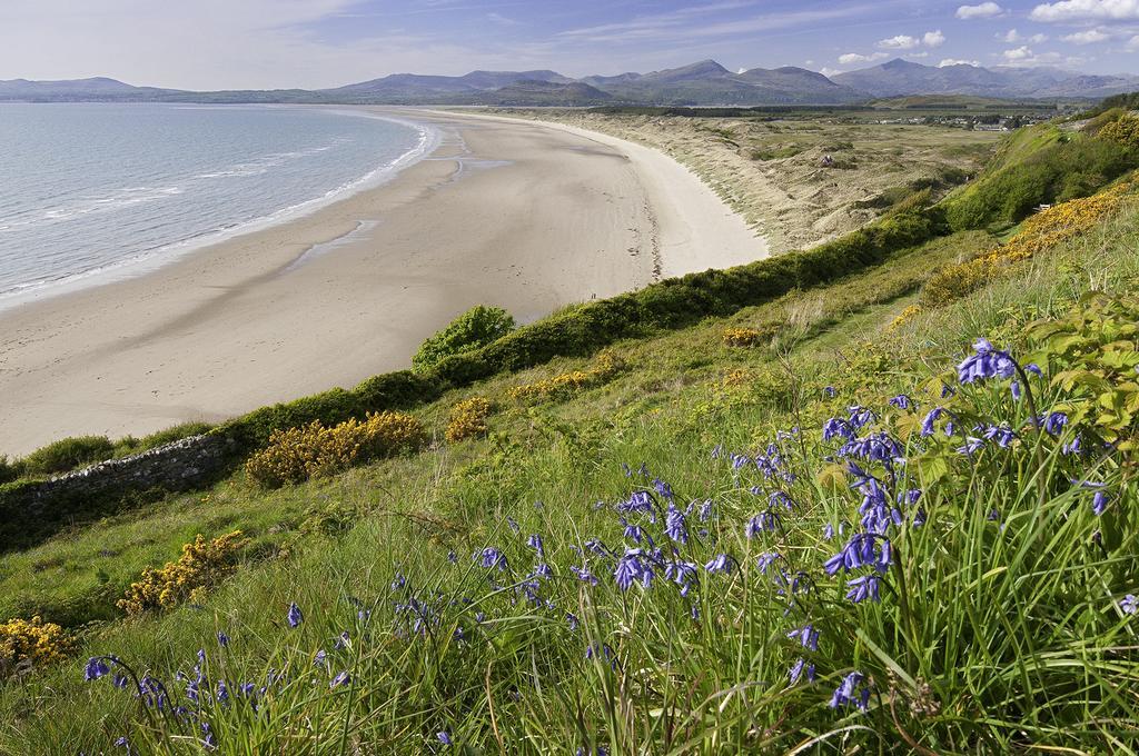 Vila Becws Clyd Trawsfynydd Exteriér fotografie